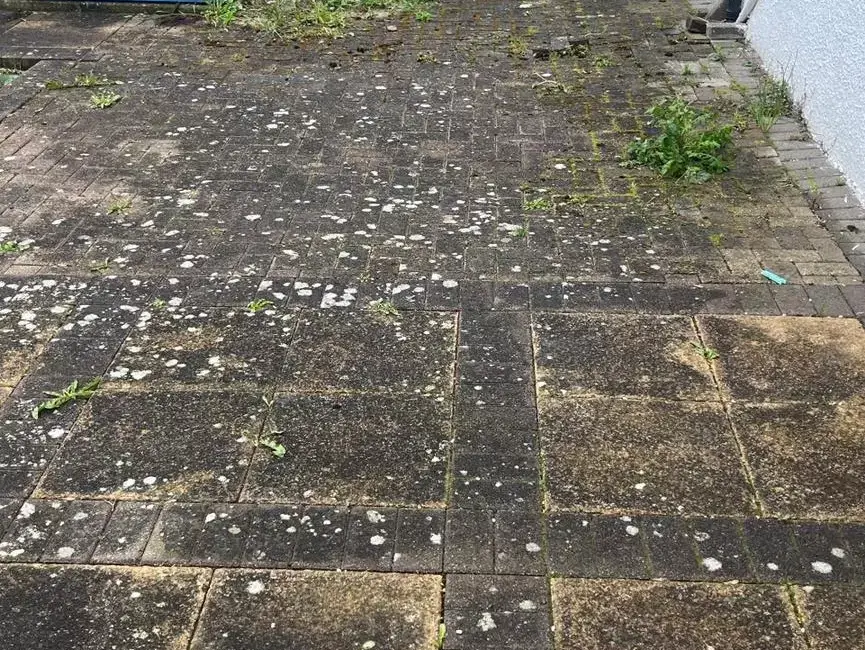 back-garden-patio-restoration-south-wales-before