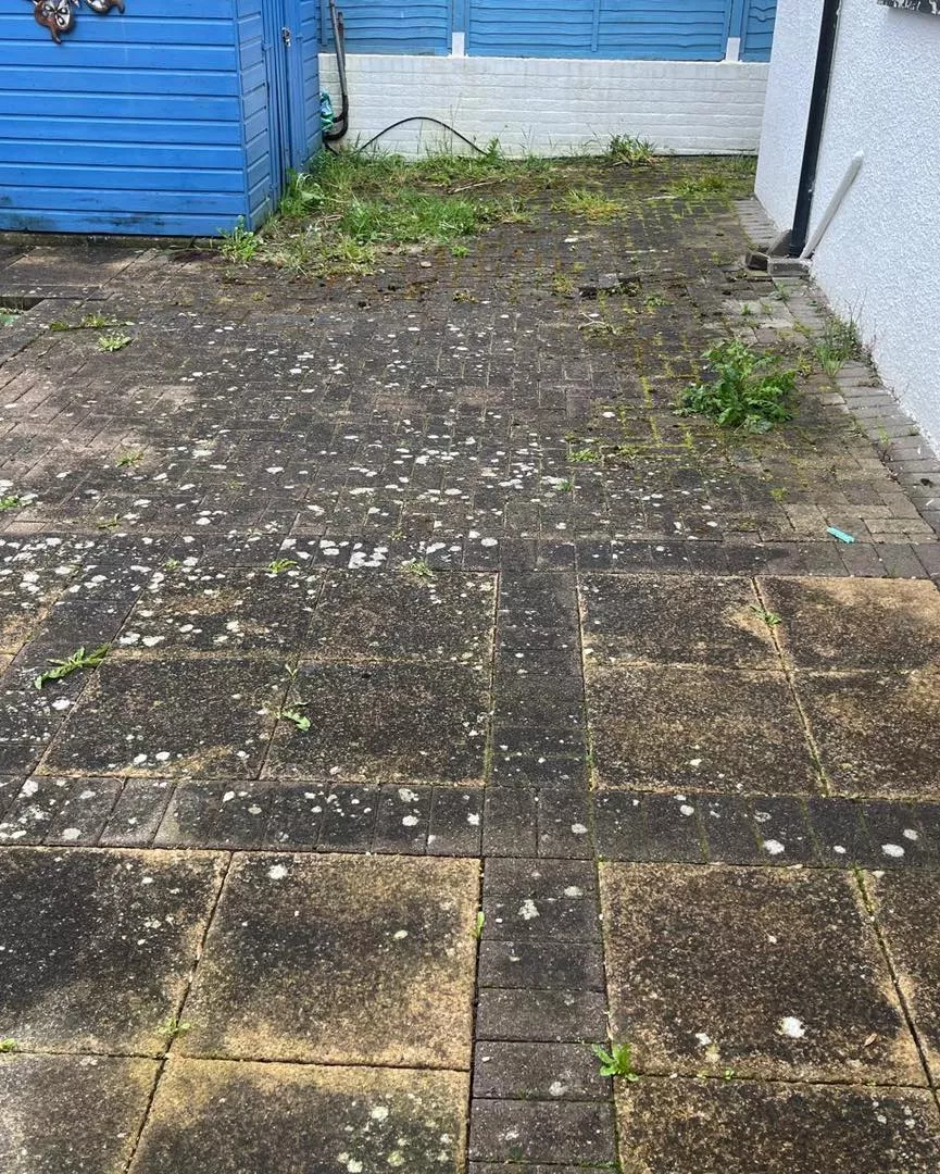back-garden-patio-restoration-south-wales-before