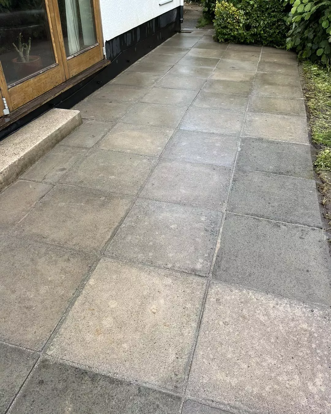 weeds-in-concrete-complete-patio-restoration