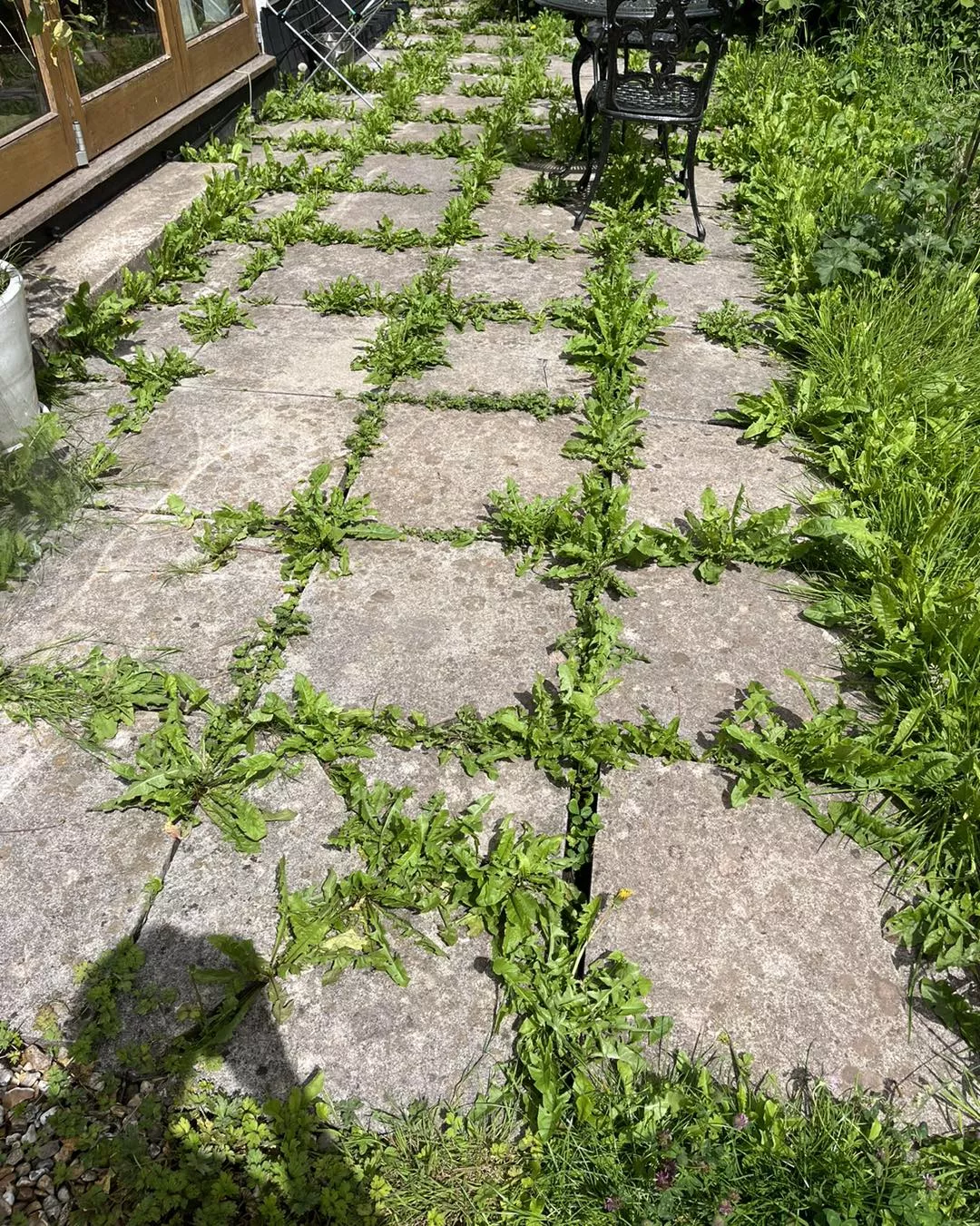 weeds-in-concrete-patio-restoration