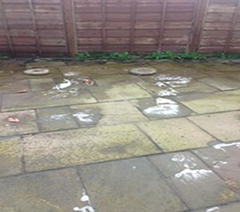 Patio Cleaning and Sealing Before Patio Cleaning and Sealing Before